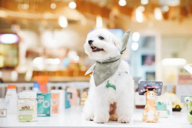 leyucom乐鱼官网MAIA ACTIVE开首家瑜伽主题店、小红书跨界开咖啡店(图6)