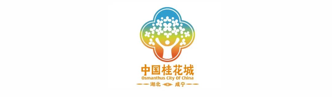 乐鱼网址免费开班！今起报名(图7)